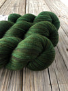 Land Ho, Treasured Toes Sock Yarn