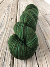 Land Ho, Treasured Toes Sock Yarn