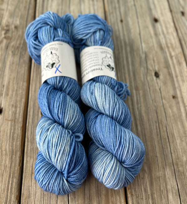 SALE Clear Skies Dye Lot 2, Light Blue, Treasured Warmth Worsted Weight Yarn