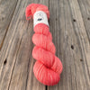 Coral Reef, Coral Pink Peach Treasured DK Luxe Yarn, hand dyed yarn