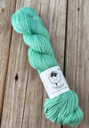 Sea Foam, Mint Spring Green Treasured DK Luxe Yarn, hand dyed yarn