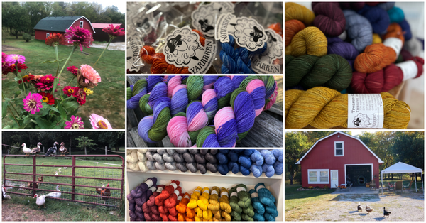 various country scenes of red barn with yarn and ducks and chickens in yard