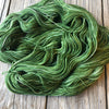 Hand Dyed Sock Yarn, Forest Green, Everglades Excursion, Treasured Toes Sock Yarn