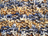 Handspun Cowl Knitting Pattern PDF Digital Download TreasusreGoddess Sidewinder Cowl Christine Long Derks